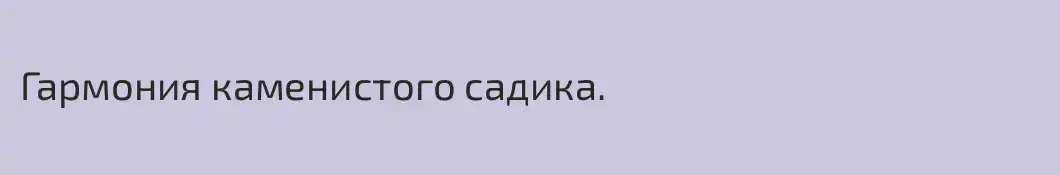 Гармония каменистого садика.